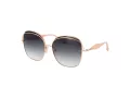 Ana Hickmann Sonnenbrille AH 3287 04A