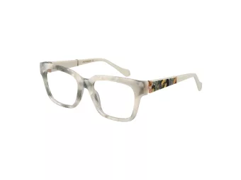 Ana Hickmann Brillen AH 6492 G21
