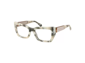 Ana Hickmann Brillen AH 6541 G21