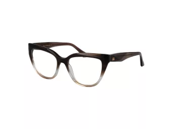 Ana Hickmann Brillen AH 6549 C01
