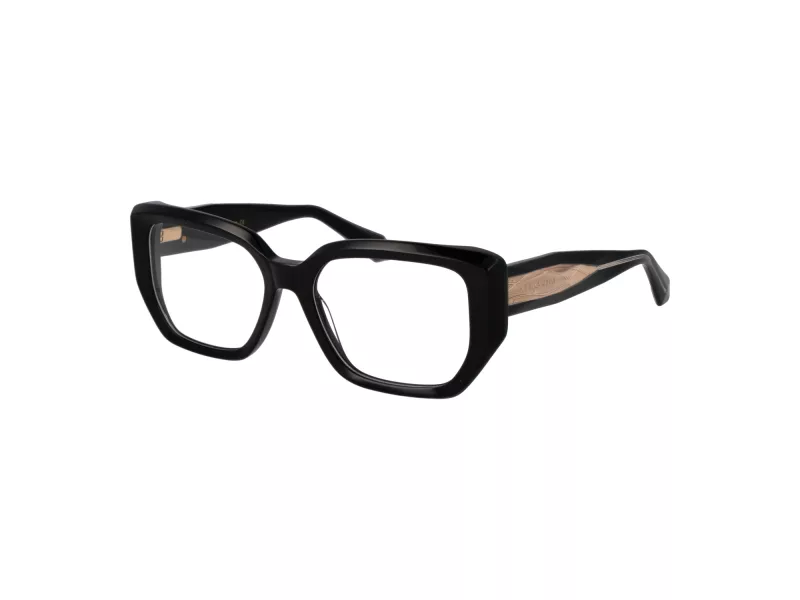 Ana Hickmann Brillen AH 6564 A01