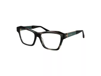 Ana Hickmann Brillen AH 6580 E01