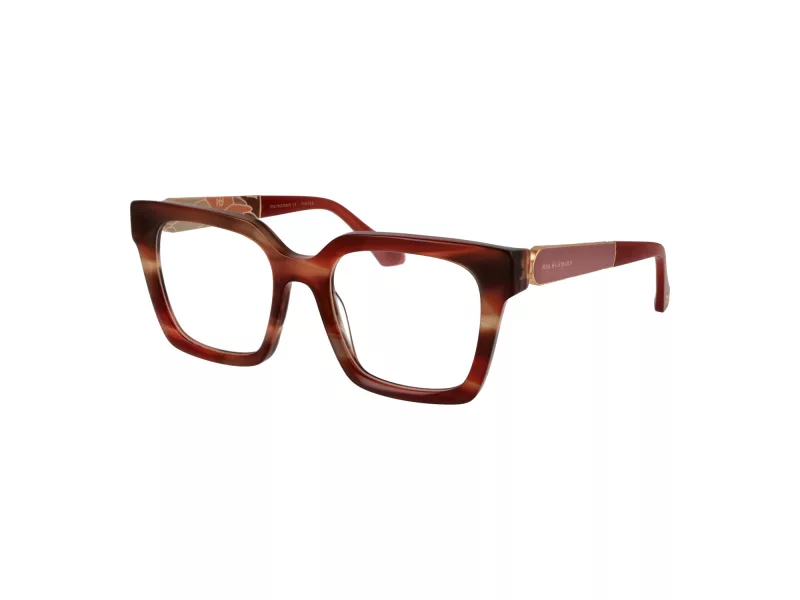 Ana Hickmann Brillen AH 6598 E02