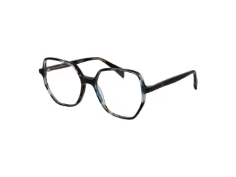 Ana Hickmann Brillen AH 6614 G21