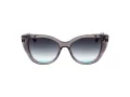 Ana Hickmann Sonnenbrille AH 9419 T01