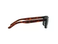 Arnette Slickster Sonnenbrille AN 4185 227381