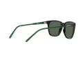 Arnette Cortex Sonnenbrille AN 4291 27539A