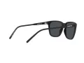 Arnette Cortex Sonnenbrille AN 4291 275887