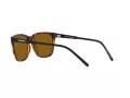 Arnette Cortex Sonnenbrille AN 4291 277083