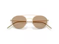 Giorgio Armani Sonnenbrille AR 6169 300263