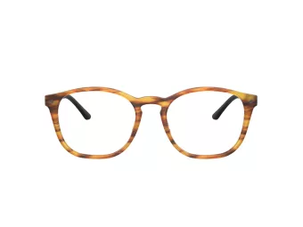 Giorgio Armani Brillen AR 7074 5562