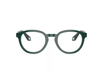 Giorgio Armani Brillen AR 7248 6044