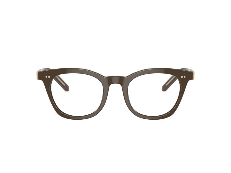 Giorgio Armani Brillen AR 7251 6040