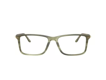 Giorgio Armani Brillen AR 7261 6168