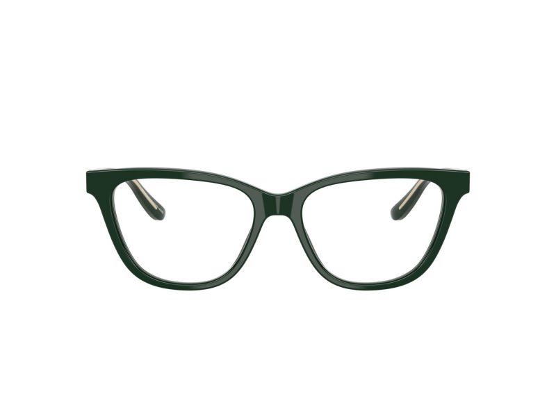 Giorgio Armani Brillen AR 7263 6173