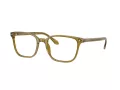 Giorgio Armani Brillen AR 7265 6172