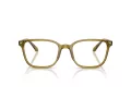 Giorgio Armani Brillen AR 7265 6172