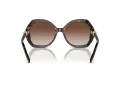 Giorgio Armani Sonnenbrille AR 8180 502613