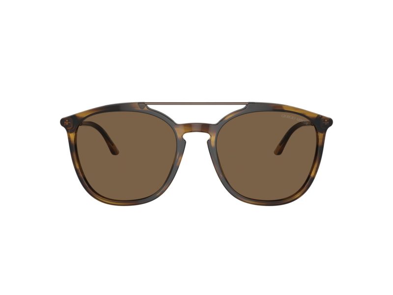 Giorgio Armani Sonnenbrille AR 8198 603773