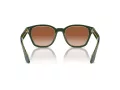 Giorgio Armani Sonnenbrille AR 8207 608613