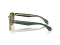 Giorgio Armani Sonnenbrille AR 8207 608613