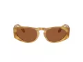 Giorgio Armani Sonnenbrille AR 8216 597973