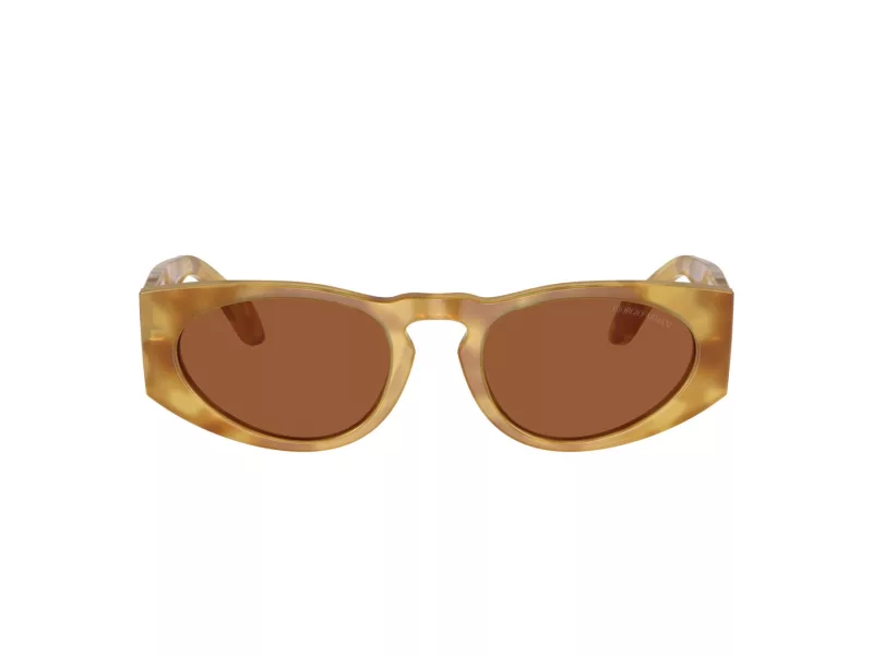 Giorgio Armani Sonnenbrille AR 8216 597973