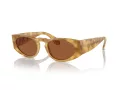 Giorgio Armani Sonnenbrille AR 8216 597973
