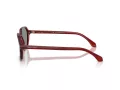 Giorgio Armani Sonnenbrille AR 8220 617056