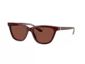 Giorgio Armani Sonnenbrille AR 8221 5955C5