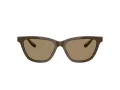 Giorgio Armani Sonnenbrille AR 8221 595753