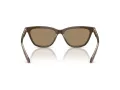 Giorgio Armani Sonnenbrille AR 8221 595753