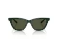 Giorgio Armani Sonnenbrille AR 8221 617331