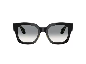 Giorgio Armani Sonnenbrille AR 8223 500111