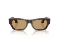 Giorgio Armani Sonnenbrille AR 8224 502673