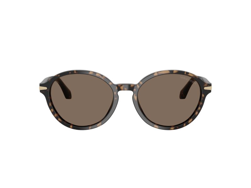 Giorgio Armani Sonnenbrille AR 8237 623573