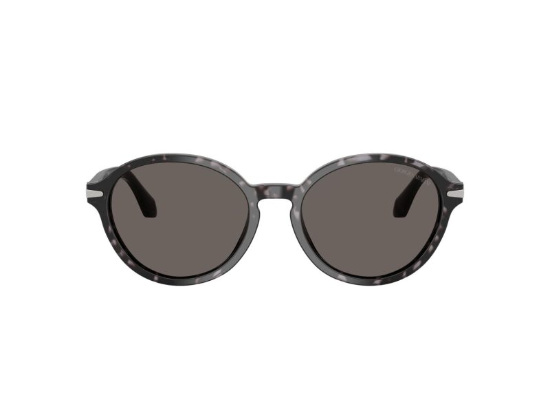 Giorgio Armani Sonnenbrille AR 8237 6236B1