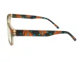 Berkeley Brillen BB 5831 C2