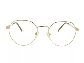 Berkeley Brillen BB 705001 C2