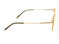 Berkeley Brillen BB 705016 C3
