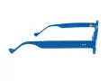 Berkeley Brillen BB RD29010 C2