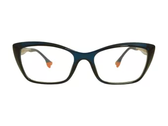 Berkeley Brillen BB TR76013 C4