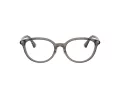 Burberry Brillen BE 2435D 4160