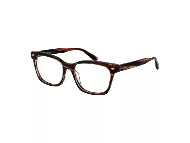 Bulget Brillen BG 6502 E01