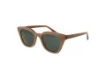 Botaniq Sonnenbrille BIS 7005 152