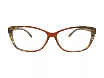 Berkeley Computer brille BB 1793 Brown 55