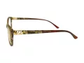 Berkeley Computer brille BB 1793 Brown 55