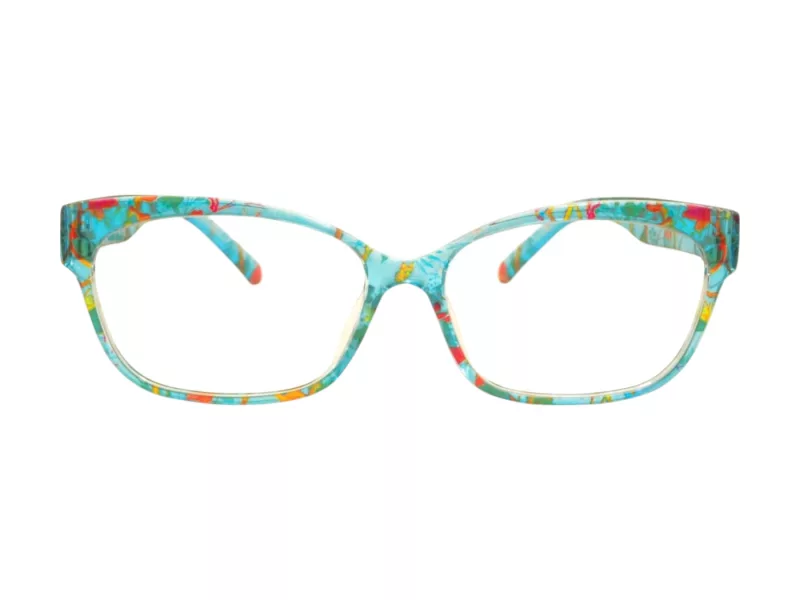Berkeley Computer brille BB 2063 C7 52