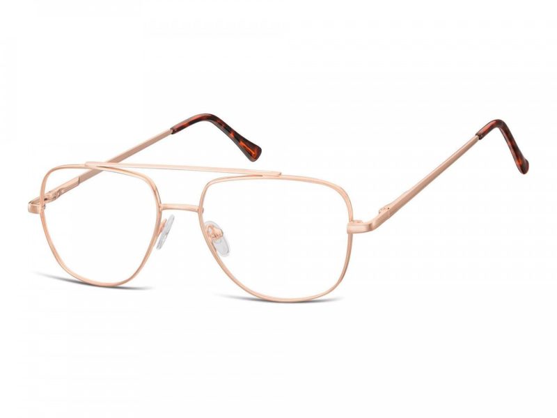 Berkeley Computer brille 787D