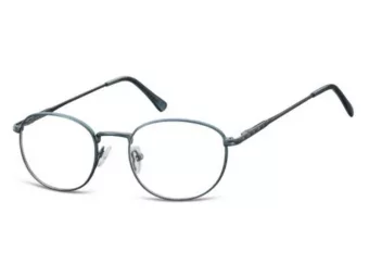 Berkeley Computer brille 794 B